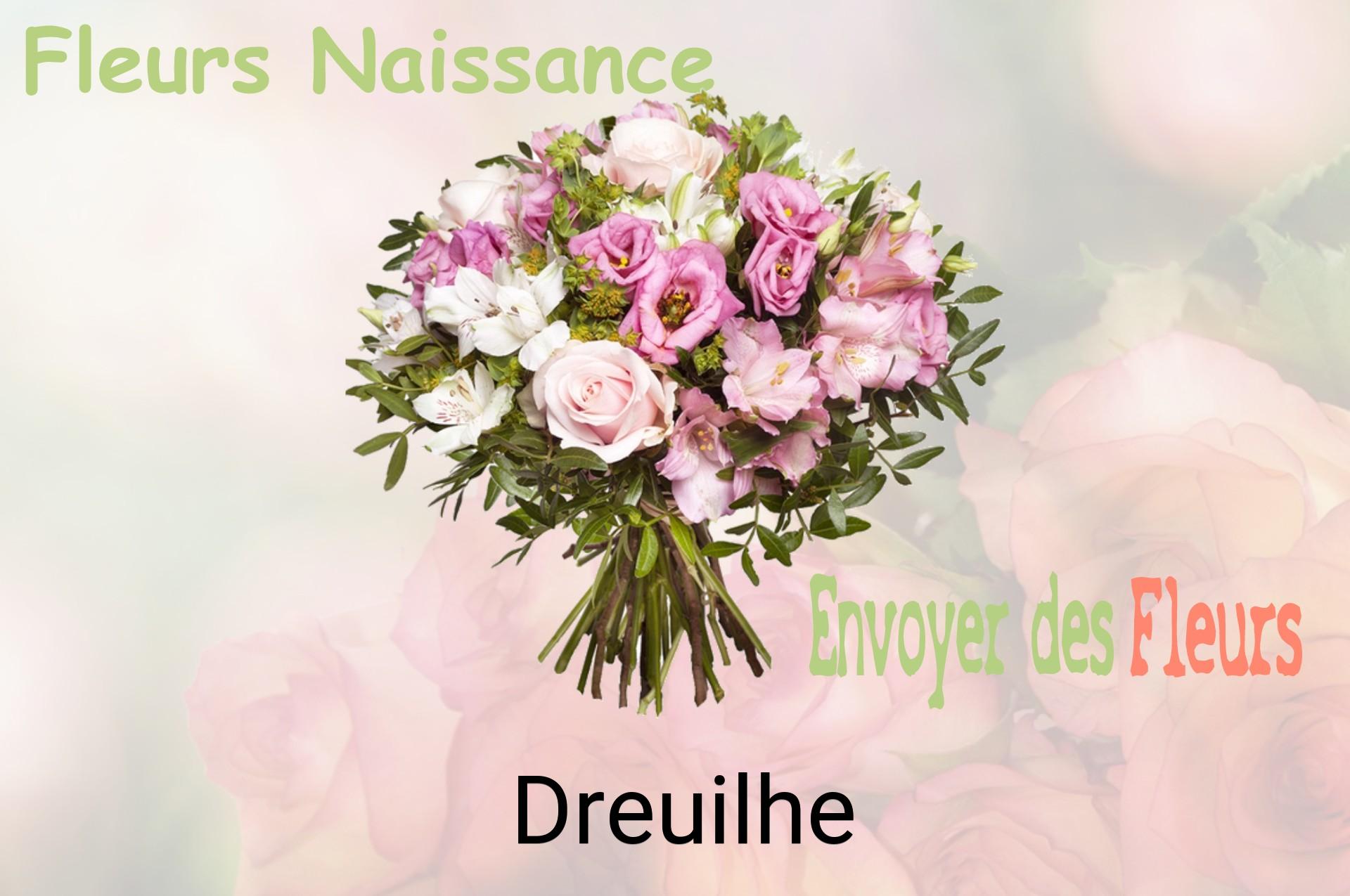 Bouquet de fleurs de naissance livré à Dreuilhe